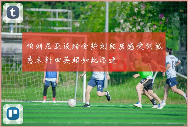 帕利尼亚谈转会热刺经历感受到诚意未料回英超如此迅速