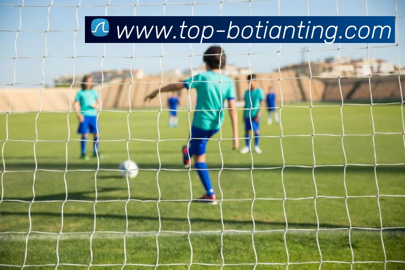 App Interface Preview